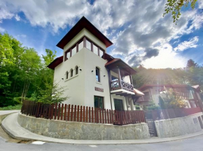 Alfinio Villa Sinaia